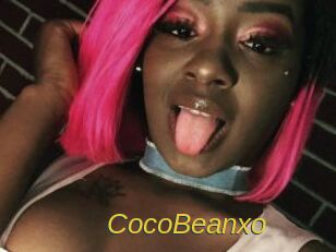 CocoBeanxo