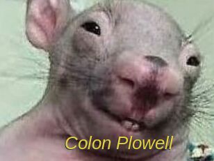 Colon_Plowell