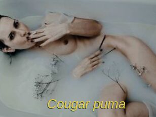 Cougar_puma