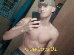 Cowboy201