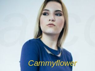 Cammyflower