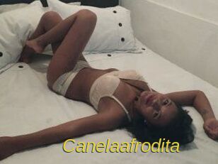 Canelaafrodita