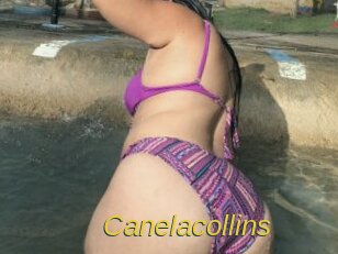 Canelacollins