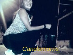 Canelamorris