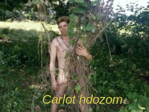 Carlot_hdozom