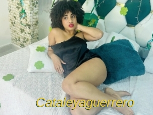 Cataleyaguerrero