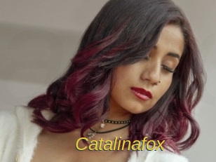 Catalinafox