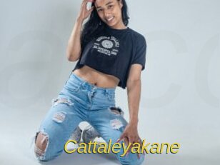 Cattaleyakane