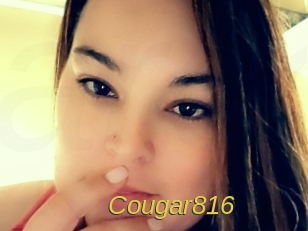 Cougar816