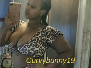 Curvybunny19