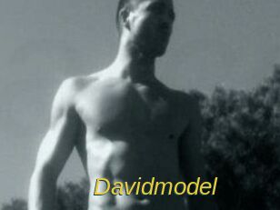 Davidmodel