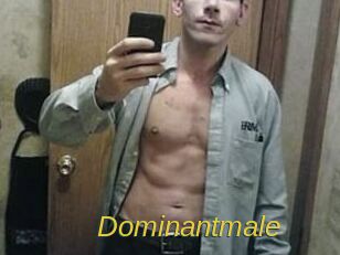 Dominantmale