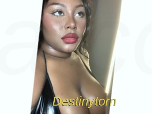 Destinytorn