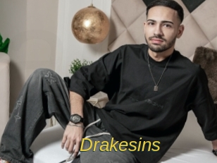 Drakesins