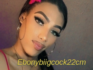 Ebonybiigcock22cm