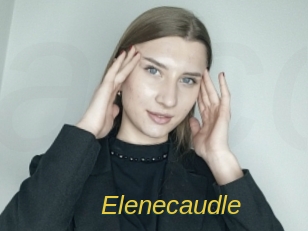 Elenecaudle