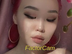 FactorCam