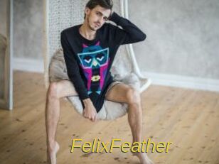 FelixFeather