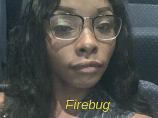 Firebug