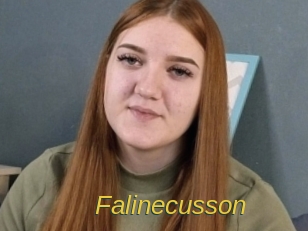 Falinecusson