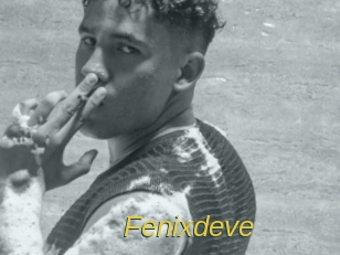 Fenixdeve