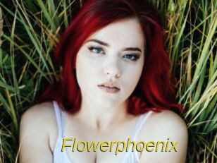 Flowerphoenix