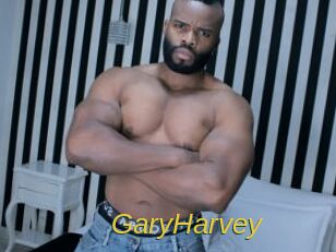 GaryHarvey