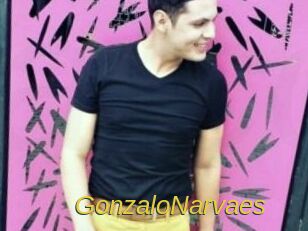 GonzaloNarvaes