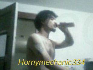 Hornymechanic334