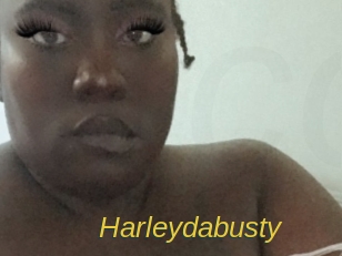 Harleydabusty