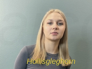 Hollisgleghorn