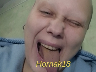 Hornak18