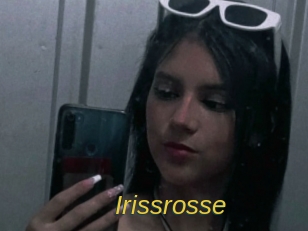 Irissrosse