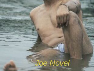 Joe_Novel