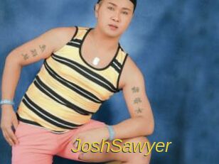 JoshSawyer