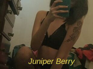 Juniper_Berry