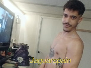 Jaguarspain