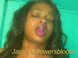 Jasmineflowersbloom