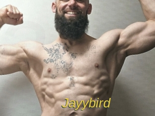 Jayybird