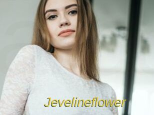 Jevelineflower