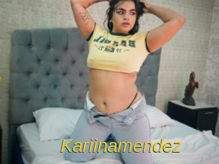 Kariinamendez