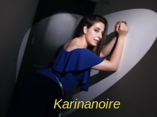 Karinanoire