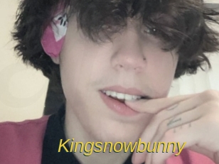 Kingsnowbunny