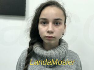 LandaMosier