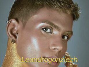 Leandrogonzlezh