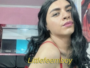 Littlefeemboy