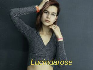 Lucindarose