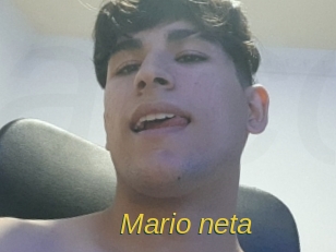 Mario_neta