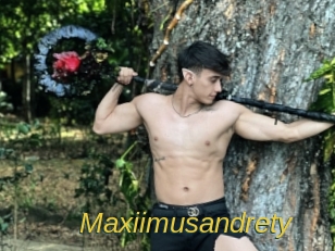 Maxiimusandrety