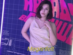 Meganfelt